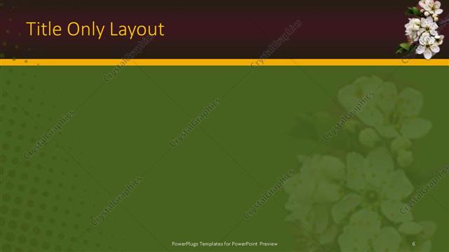 Title Only presentation slide layout