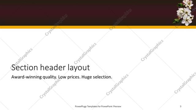 Section Header presentation slide layout