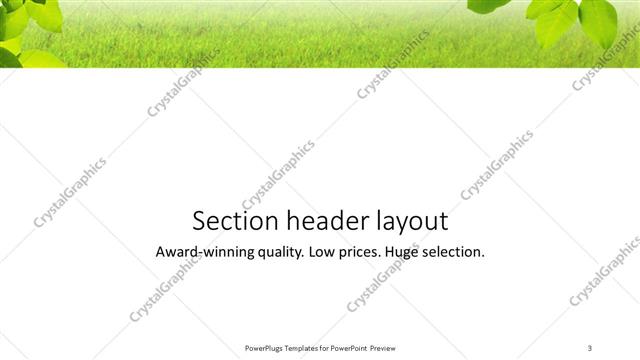 Section Header presentation slide layout