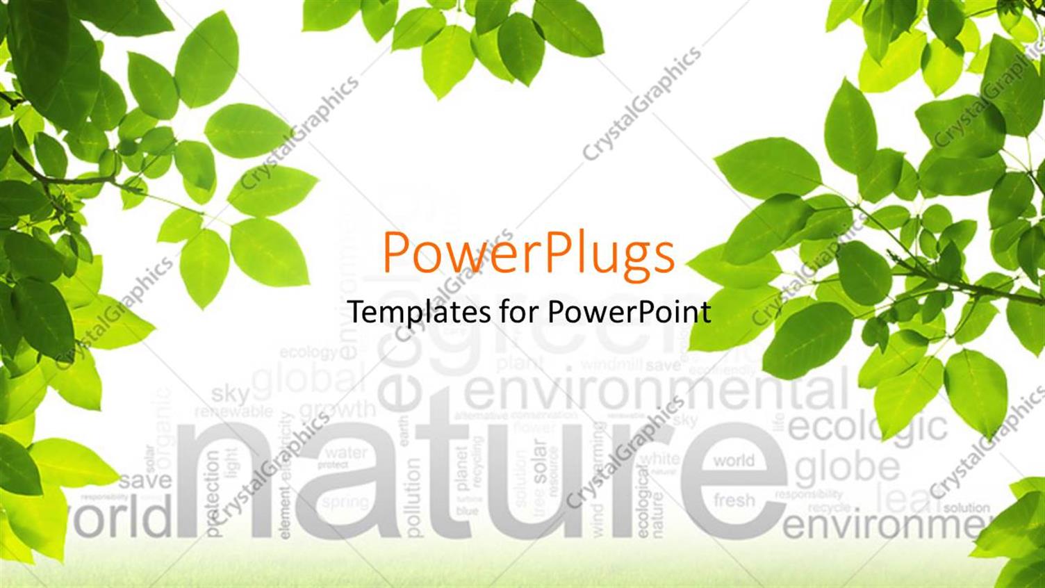 Premium Template for PowerPoint & Google Slides 