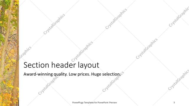 Section Header presentation slide layout