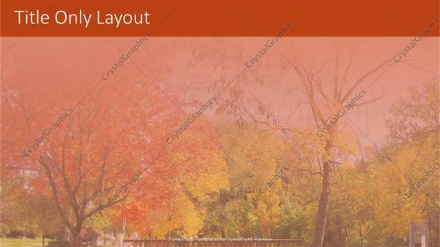 Title Only presentation slide layout