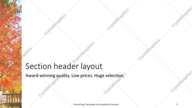 Section Header presentation slide layout