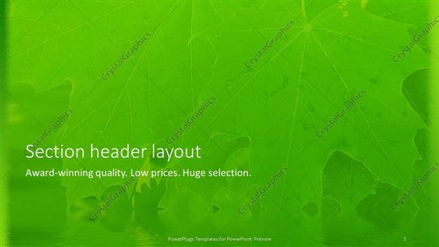 Section Header presentation slide layout