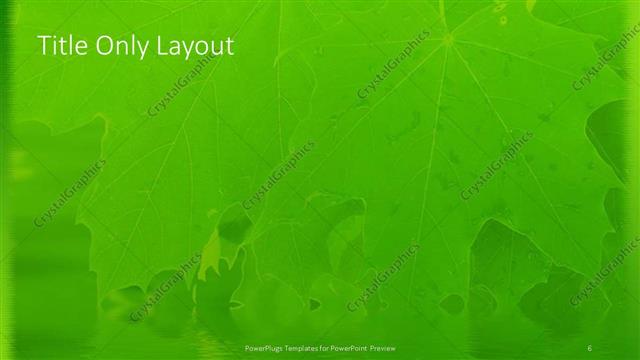 Title Only presentation slide layout