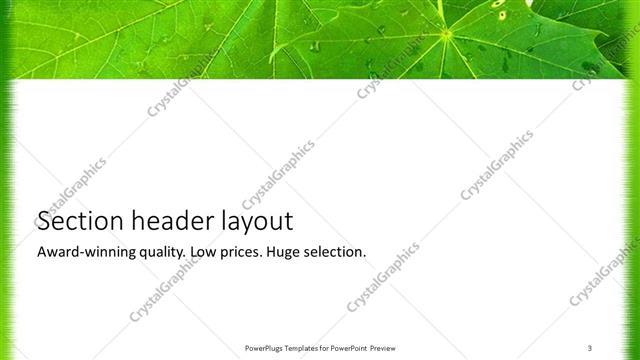Section Header presentation slide layout