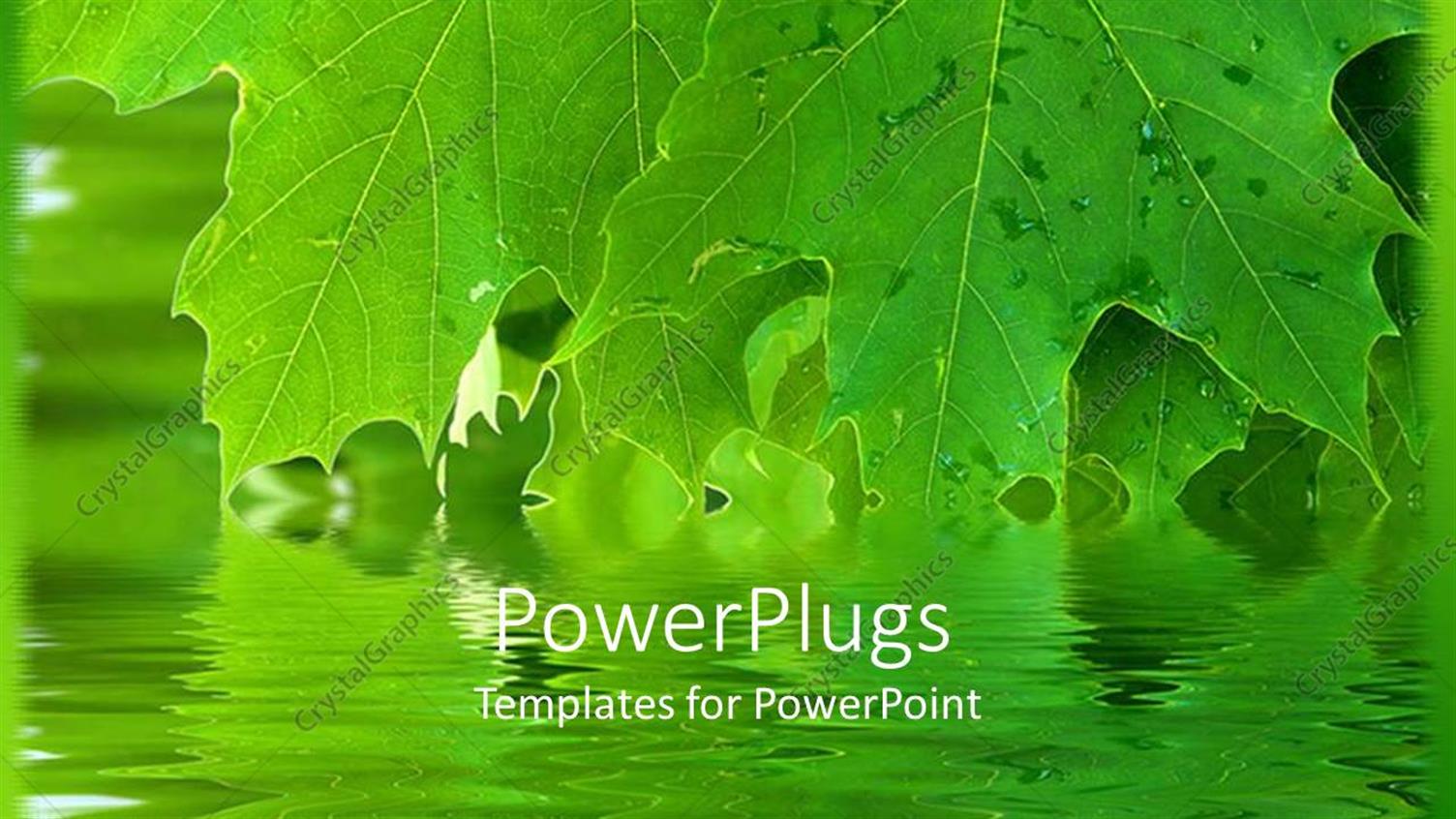 Premium Template for PowerPoint & Google Slides 