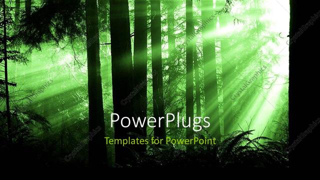  Presentation with light green - Bright light piercing through thick green?forest?