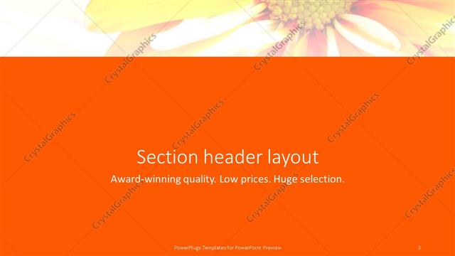 Section Header presentation slide layout