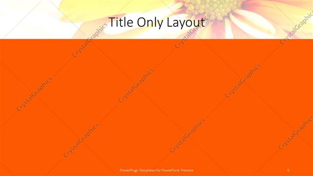 Title Only presentation slide layout