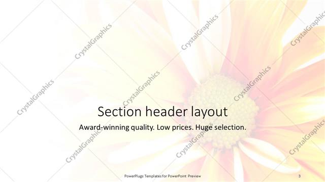Section Header presentation slide layout