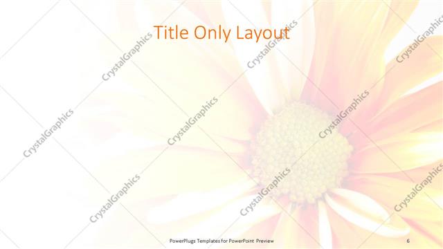 Title Only presentation slide layout