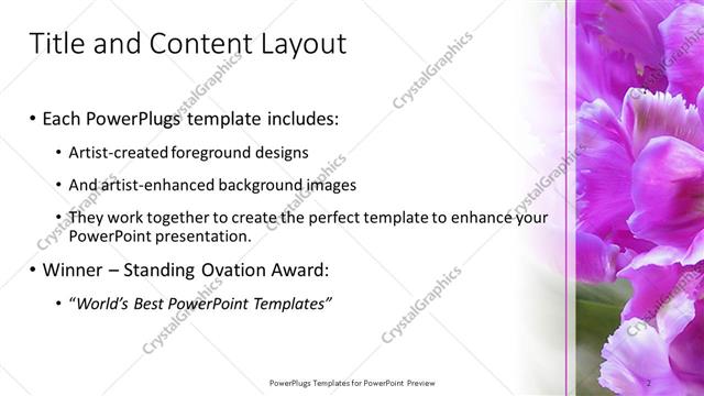 Title and Content presentation slide layout