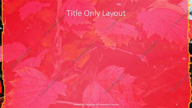 Title Only presentation slide layout