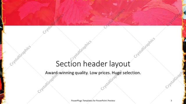 Section Header presentation slide layout