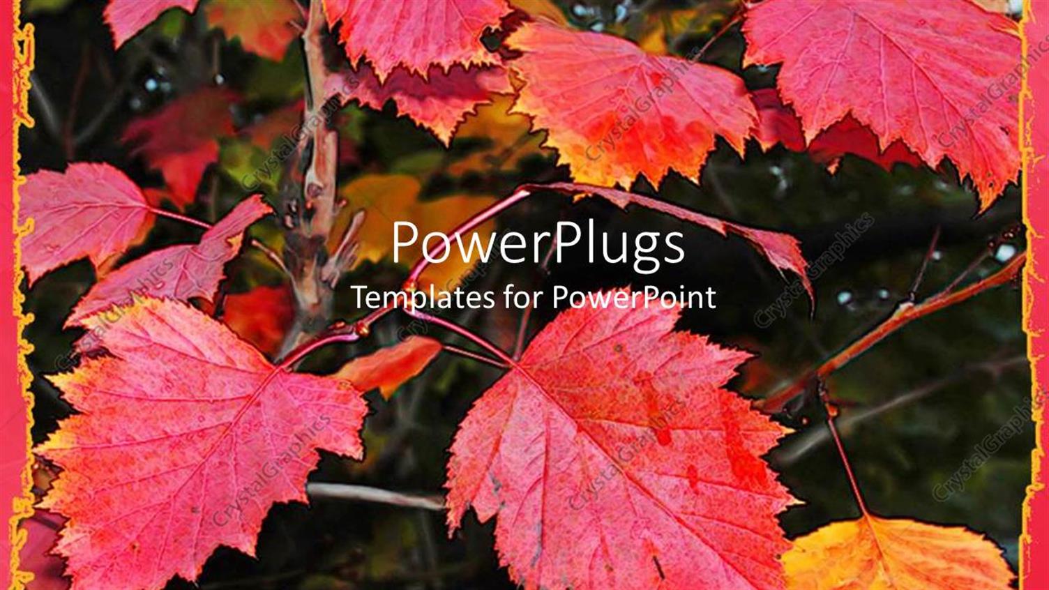 Premium Template for PowerPoint & Google Slides 