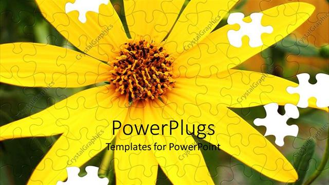  Presentation with bright yellow - A bright yellow black eyed  flower in a jig saw puzzle form