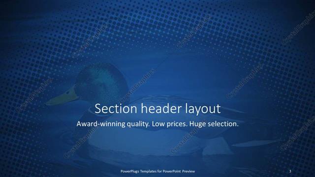 Section Header presentation slide layout