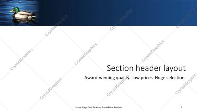 Section Header presentation slide layout