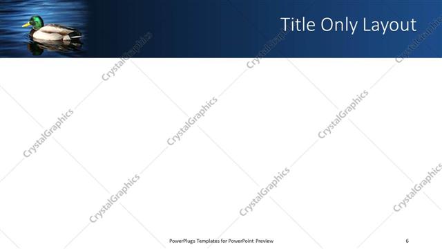 Title Only presentation slide layout