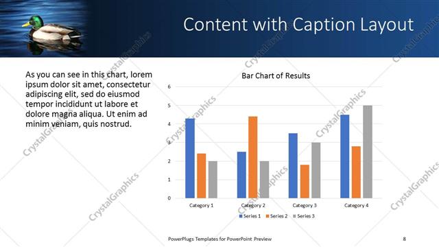 Content with Caption presentation slide layout