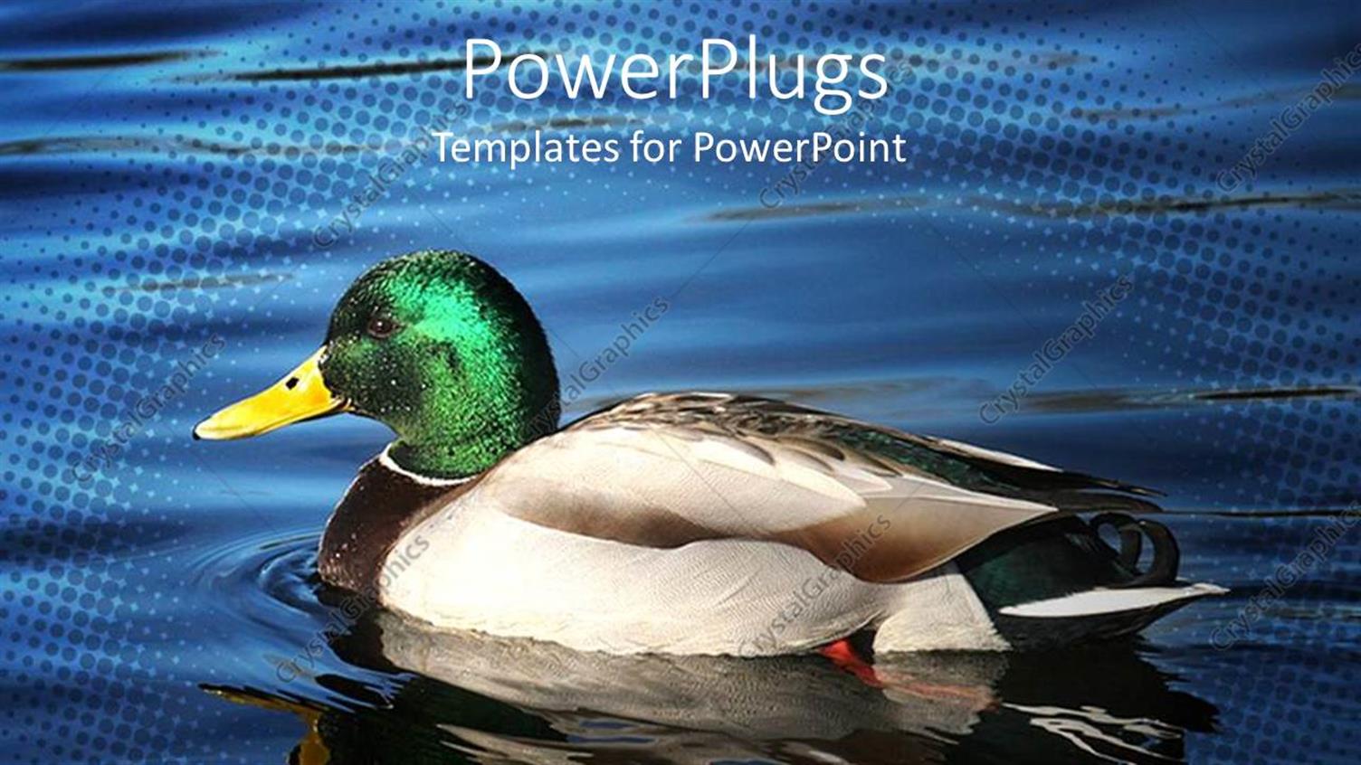 Premium Template for PowerPoint & Google Slides 