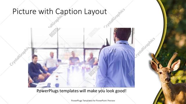 Picture with Caption presentation slide layout