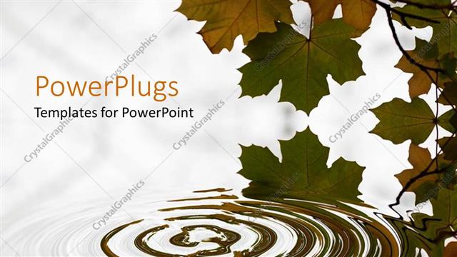  Presentation with ripples - Brown and green leaves with ripples in water, white background
