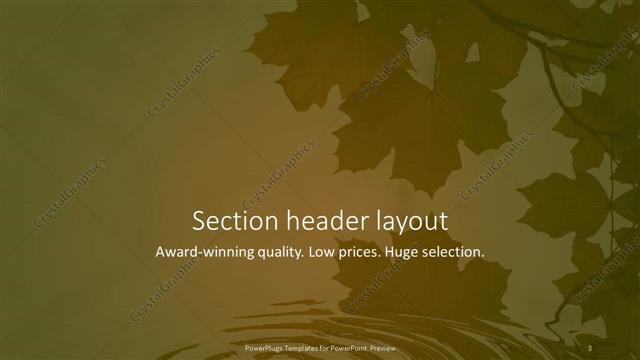 Section Header presentation slide layout
