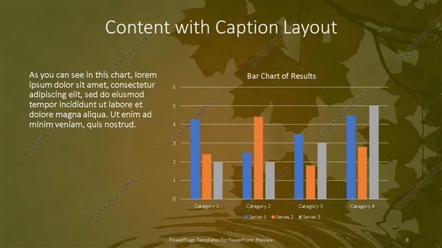 Content with Caption presentation slide layout