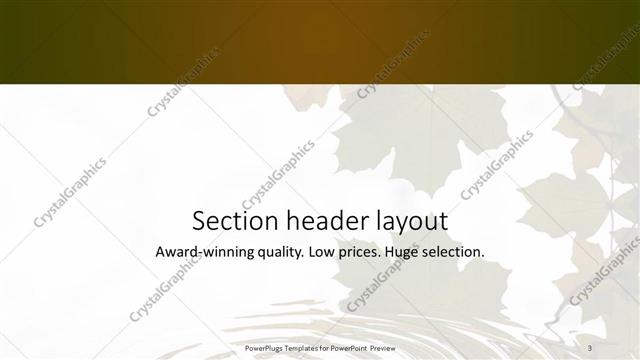 Section Header presentation slide layout