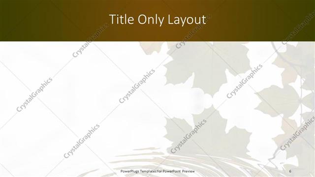 Title Only presentation slide layout