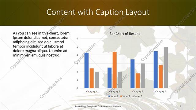 Content with Caption presentation slide layout