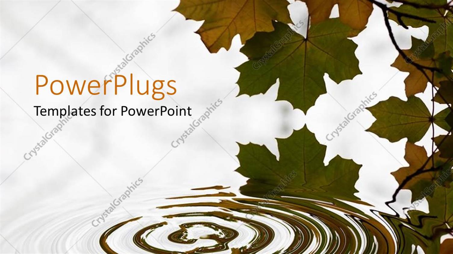 Premium Template for PowerPoint & Google Slides 