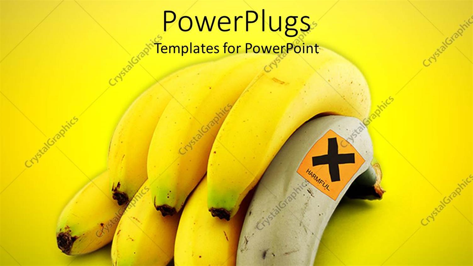 Premium Template for PowerPoint & Google Slides 