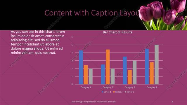 Content with Caption presentation slide layout