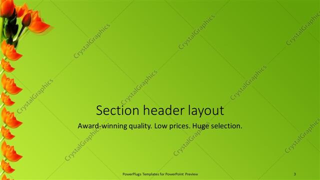 Section Header presentation slide layout