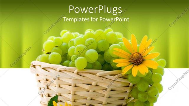  Presentation with sunflowers - A bunch of grapes in the basket along with sunflowers