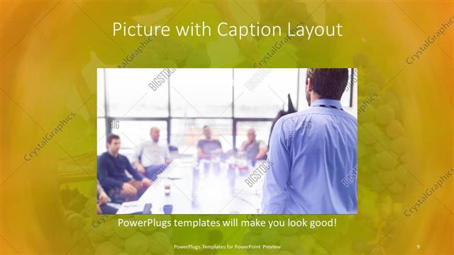 Picture with Caption presentation slide layout