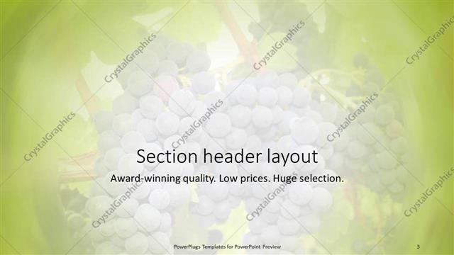 Section Header presentation slide layout