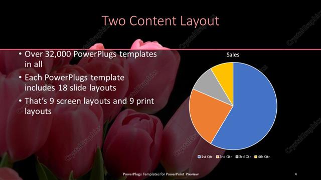 Two Content presentation slide layout