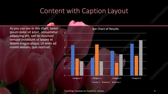 Content with Caption presentation slide layout