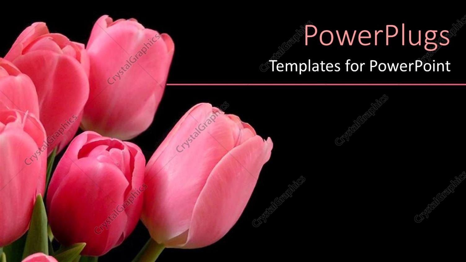 Premium Template for PowerPoint & Google Slides 