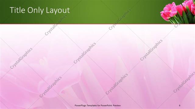 Title Only presentation slide layout