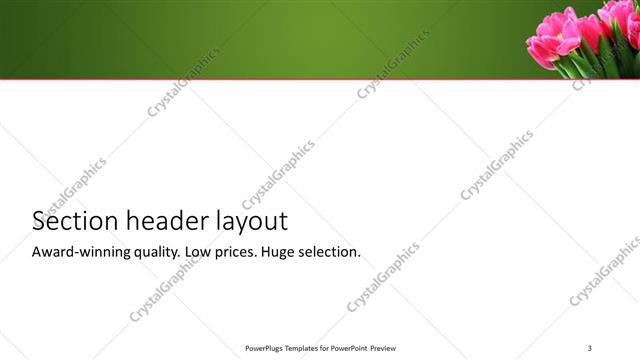 Section Header presentation slide layout