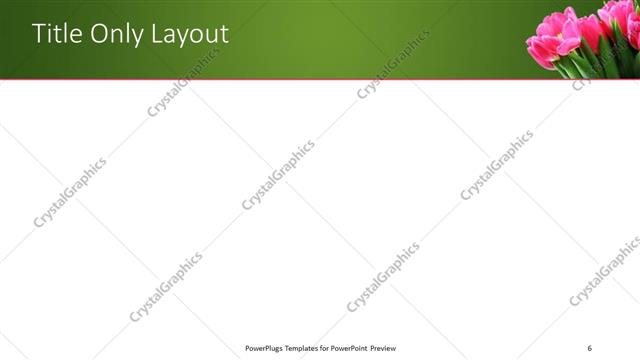 Title Only presentation slide layout