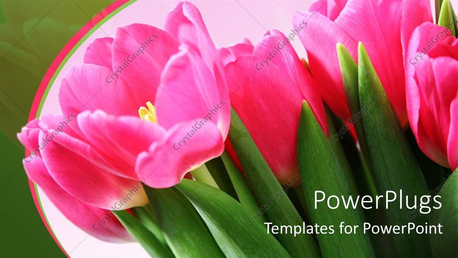 Premium Template for PowerPoint & Google Slides 