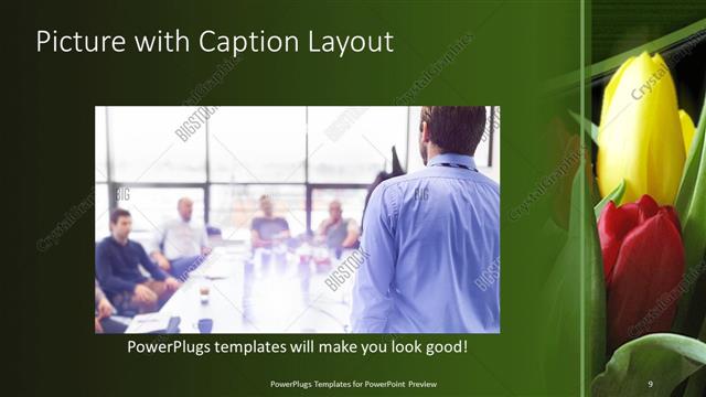 Picture with Caption presentation slide layout