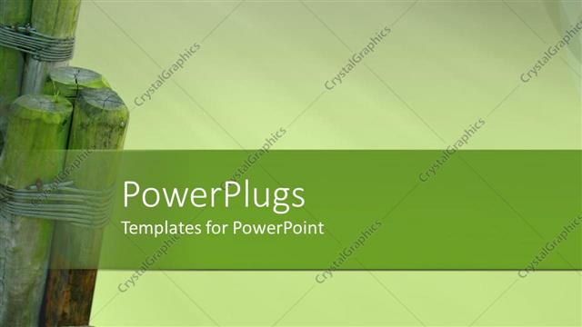  Presentation with bunch - A bunch of sticks tied up on a green colored background