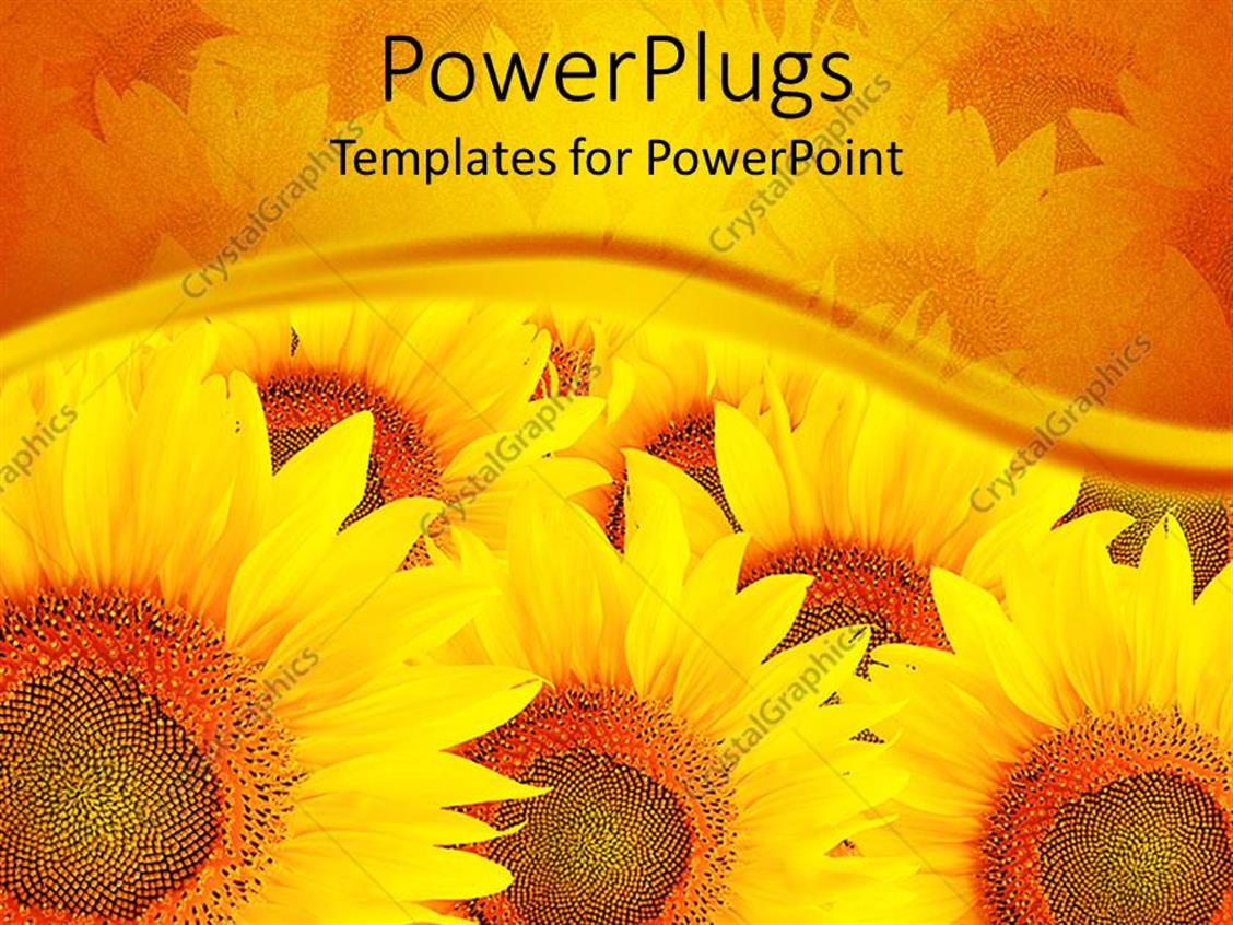 PowerPoint Template a bunch of sunflowers with their reflection in the